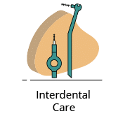 Interdental care